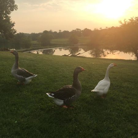Midway The B & B At Queenslake المظهر الخارجي الصورة