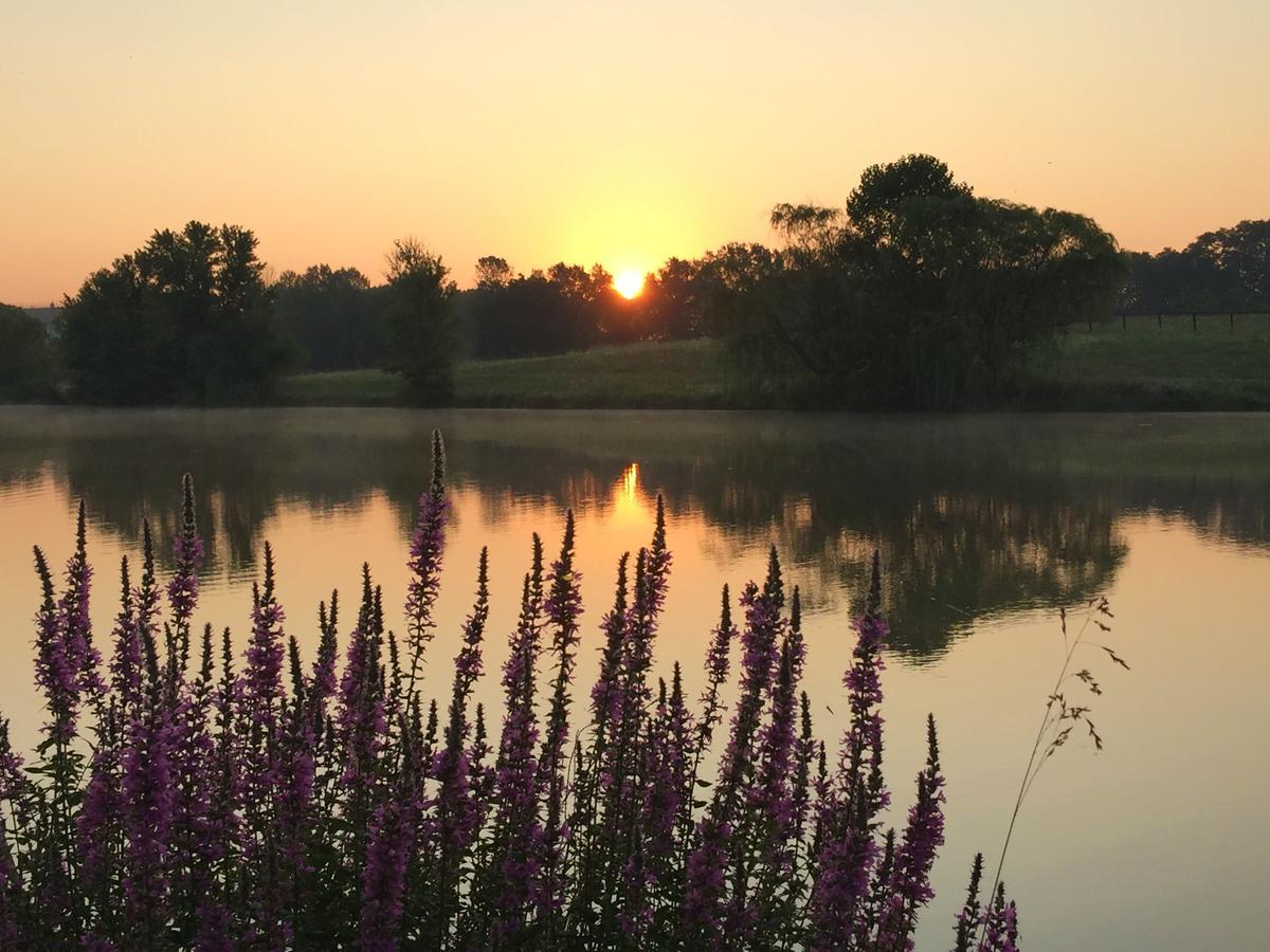 Midway The B & B At Queenslake المظهر الخارجي الصورة