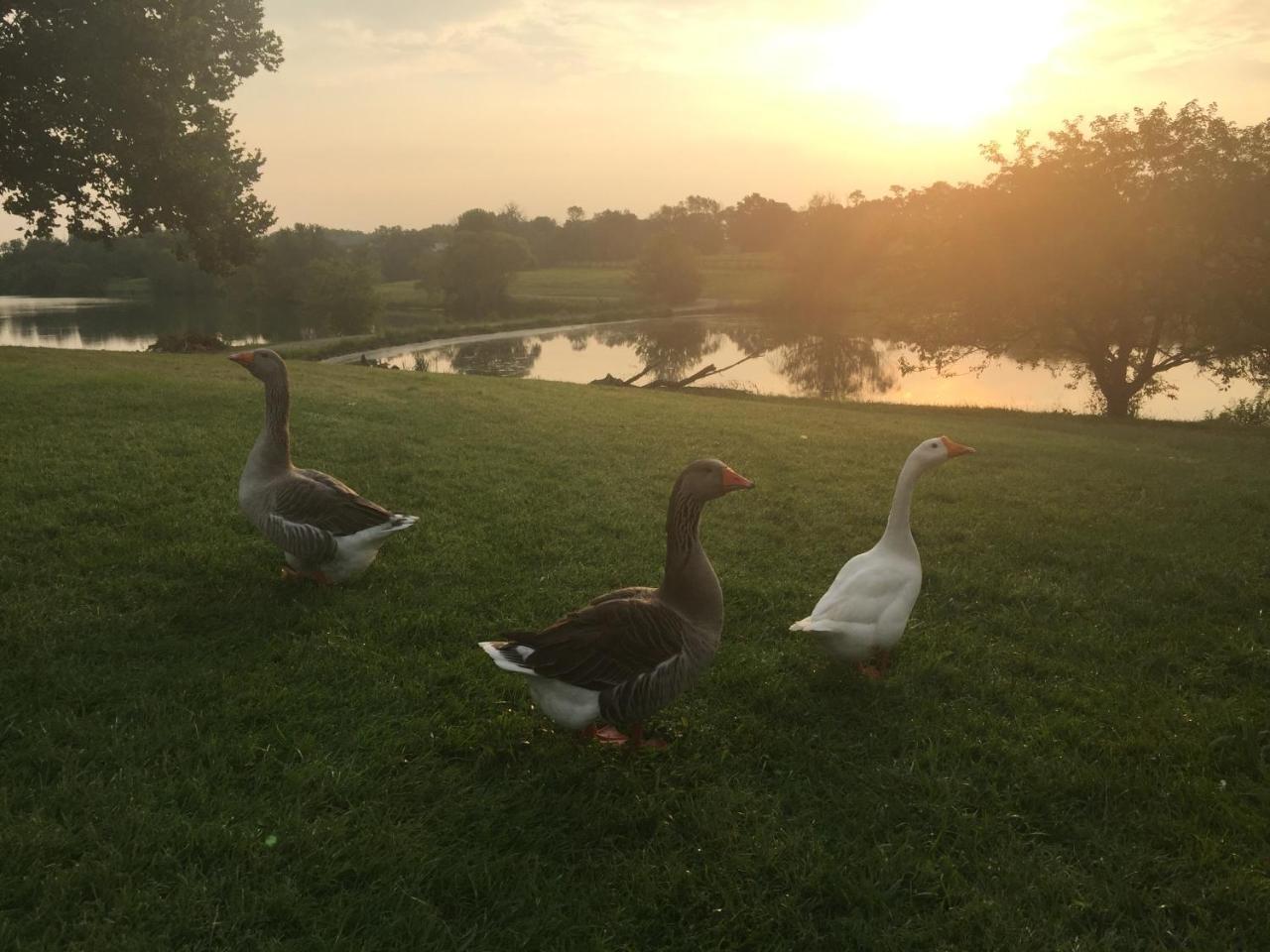 Midway The B & B At Queenslake المظهر الخارجي الصورة